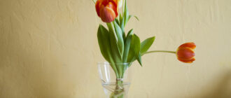 как сохранить тюльпаны в вазе