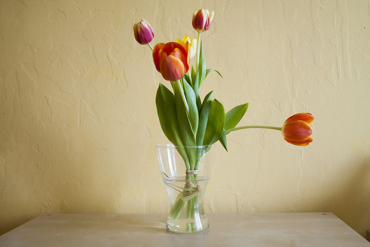 Как сохранить цветы в вазе подольше